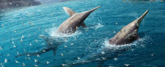 Ancient Bones Hint at The Most Colossal Marine Reptile The World Has Ever Seen