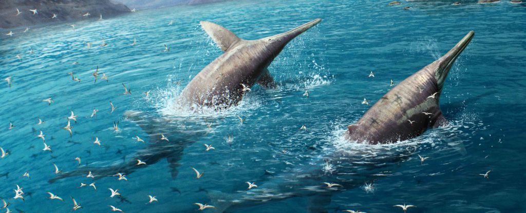 Ancient Bones Hint at The Most Colossal Marine Reptile The World Has Ever Seen