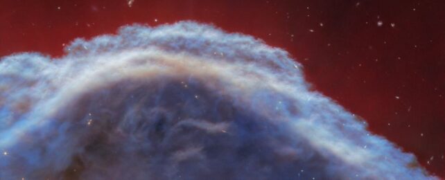 JWST Captures Features of The Horsehead Nebula in Stunning Detail
