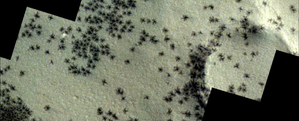 驚くべきイメージで見た火星のインカ都市に散らばった不気味な「クモ」