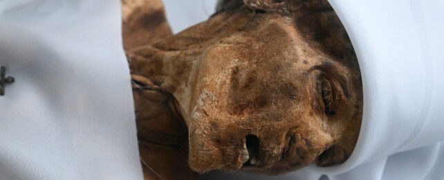 colombian mummy