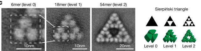 [Image: sierpinski-molecule-body.jpg]