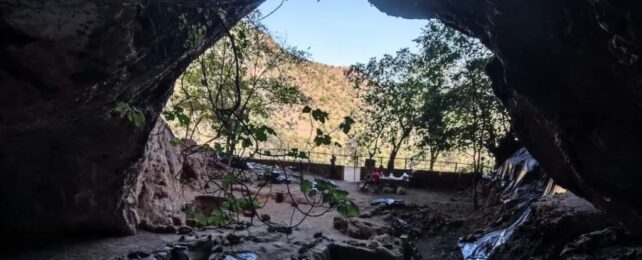 Not All Paleolithic Hunter-Gatherers Were Big Into Meat, New Study Reveals