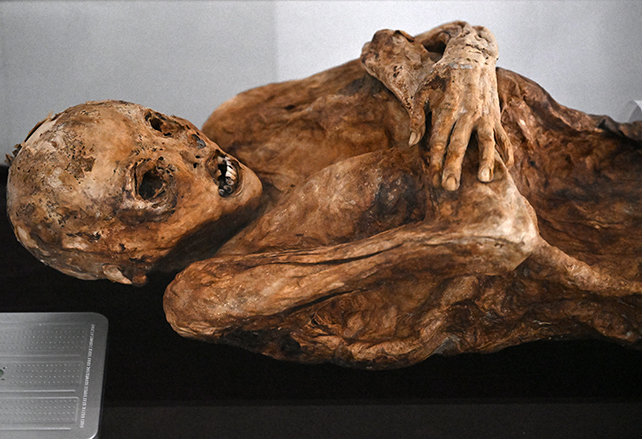 unidentified colombian mummy