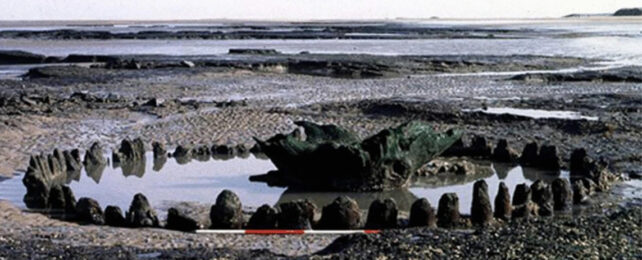 Mysterious 'Seahenge' Structure in UK May Finally Be Explained