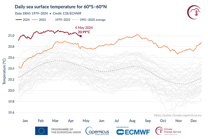 Graph showing daily sea surface temperature up to May 2024