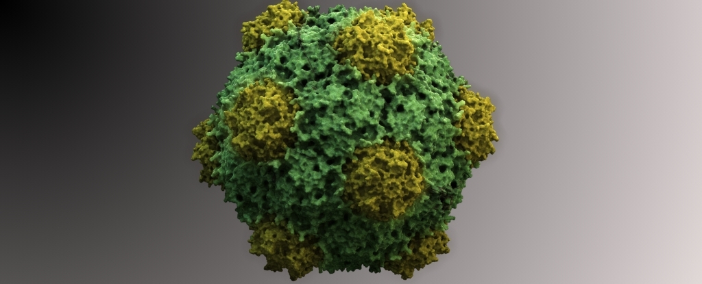 Plant Virus Fights Cancers in Mice With 'Widespread Effectiveness'