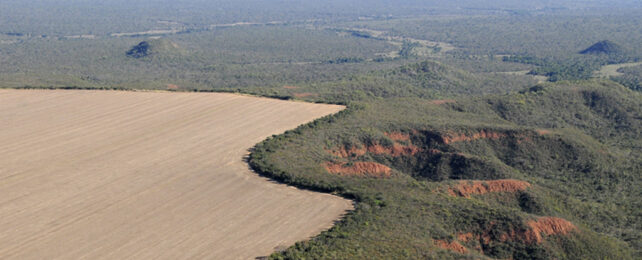 image showing areal view of landscape with one side cleared and the other vegetated