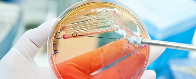 Game-Changing Antibiotic Discovered That Spares 'Good' Bacteria