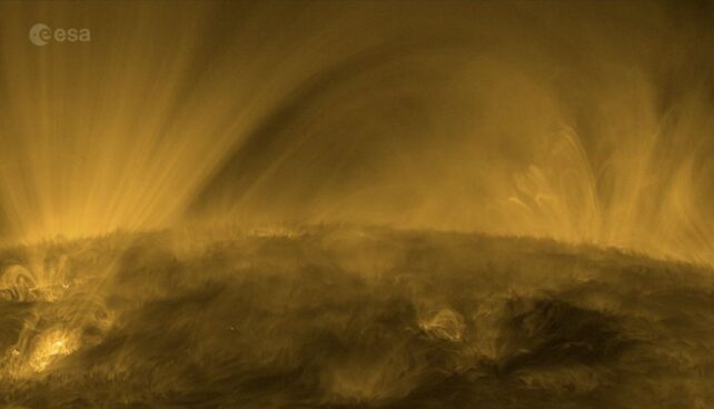 Fluffy features on the surface of the Sun