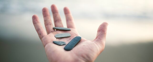 Hand Holds Pebbles On Beach