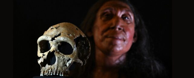 Skull next to reconstruction of Neanderthal head