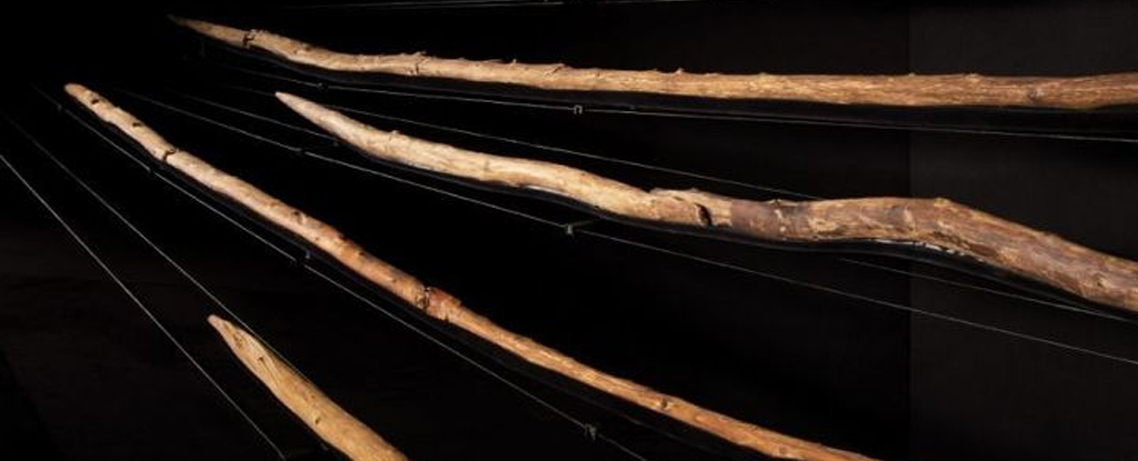 Pētījums: Senie cilvēki pirms 300 000 gadu izgatavoja nāvējošus koka ieročus