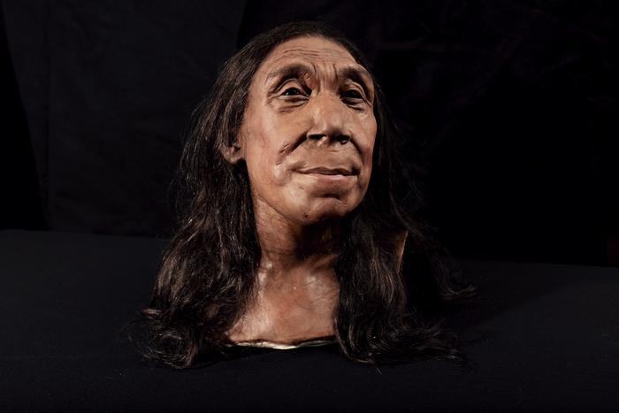 Bust of brown skinned older female with dark hair