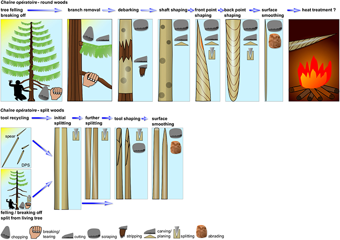 Illustrated steps of Pleistocene woodworking techniques