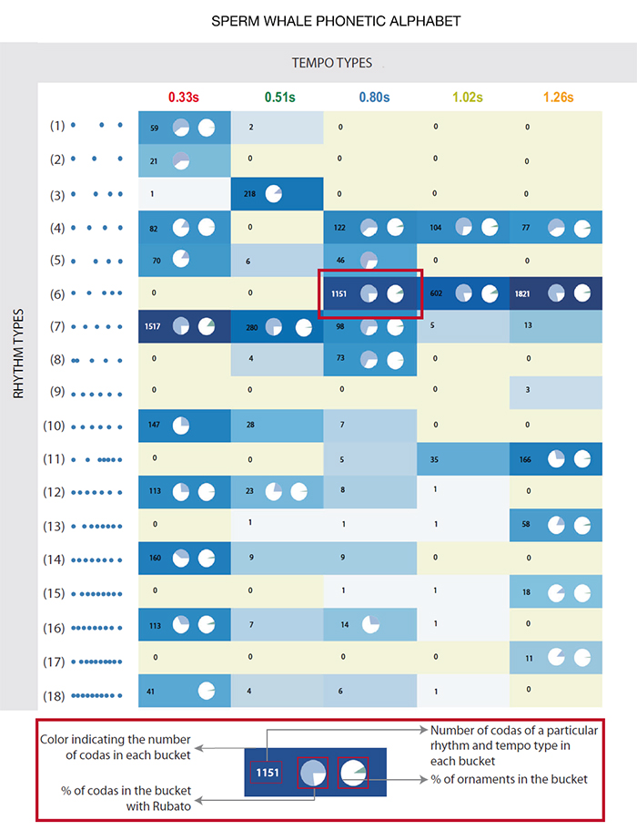 Graphical representation of sperm whale's phonetic alphabet including tempo and rhythm