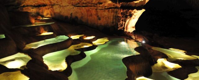 8,000 Years Ago, Humans Navigated Deep Into a Dark French Cave. The Question Is: How?