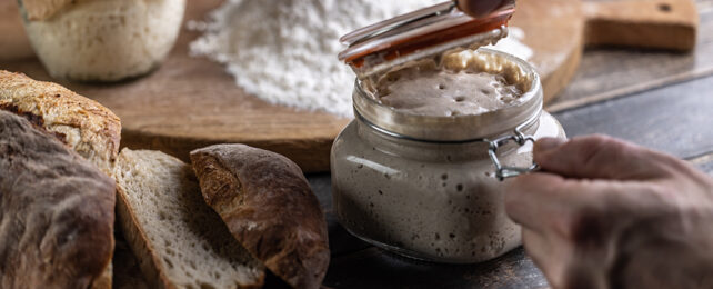 person opening a jar of sourdough