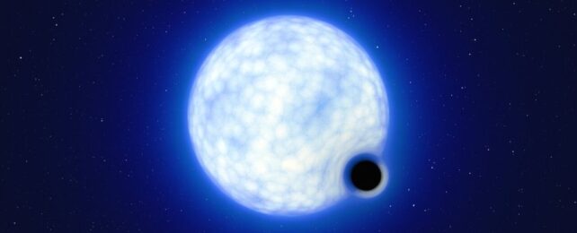 Hundreds of Huge Stars Disappeared From The Sky. We May Finally Know Why.