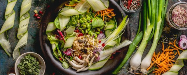 Plant-Based Diets Associated With Reduced Risk of Major Diseases, Large Study Finds