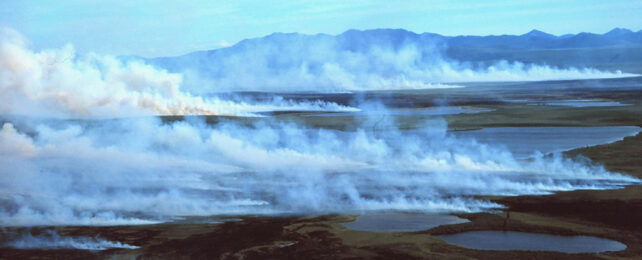 smoke from a peat marsh in the Arctic