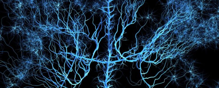 Human Very Complex The Human Brain's Complexity Verges on The Brink of Chaos, Physicists ...
