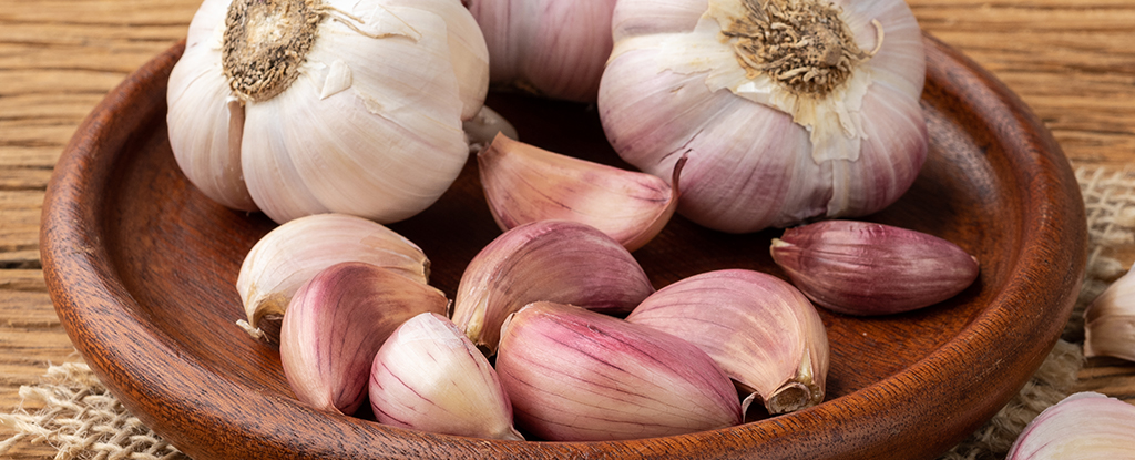 Česnek by mohl být tajnou zbraní pro snížení hladiny glukózy a cholesterolu v krvi: ScienceAlert