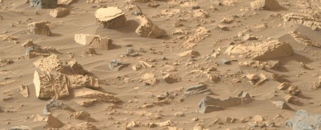 A jumbled field of light toned rocks with unusual ‘popcorn’-like textures and mineral veins