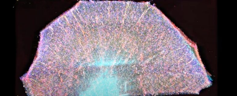 Sciencealert The Best In Science News And Amazing Breakthroughs Sciencealert The Best In Science News And Amazing Breakthroughs