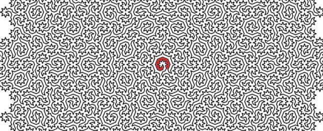 Physicists Have Created The World's Most Fiendishly Difficult Maze
