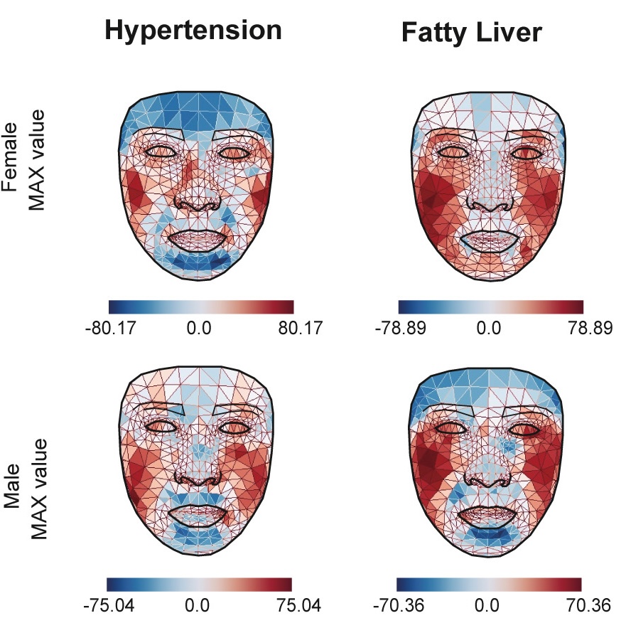 Your Face's Heat Patterns Could Reveal Vital Clues About Your Health