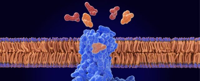 Breakthrough Drug Could Have The Power to Reverse Opioid Overdoses
