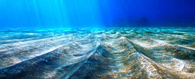 Life Only Needed A Small Amount of Oxygen to Explode, Scientists Find