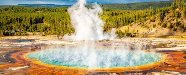 Whole New Group of Methane-Burping Microbes Discovered in Yellowstone Springs