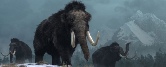 Scientists Reconstruct Mammoth Chromosomes in 3D in Amazing First