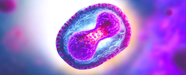 mpox virus