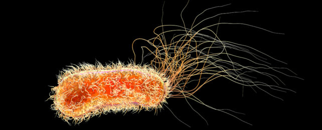 artist impression of pseudomonas