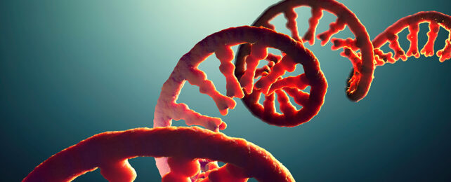 Brains of The Living And The Dead Don't Read Key Genes in The Same Way