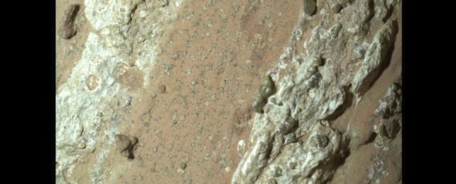 Weird Rock on Mars May Actually Show Signs of Ancient Life