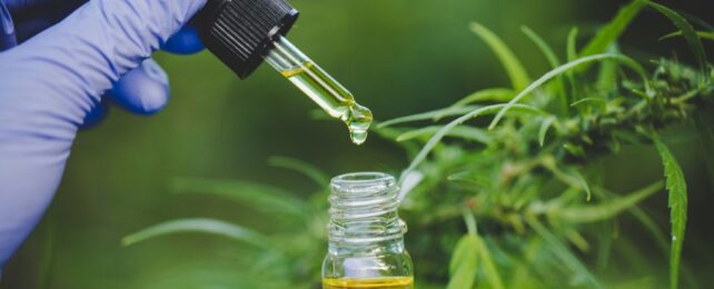 'Mother of All Cannabinoids' Tested in First Human Clinical Trial