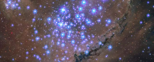 Part of star cluster NGC 346