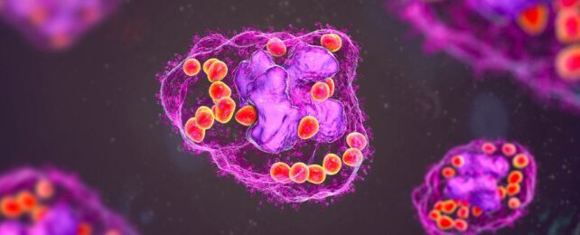 Scientists Just Discovered a New Cell. It Was Predicted 100 Years Ago.