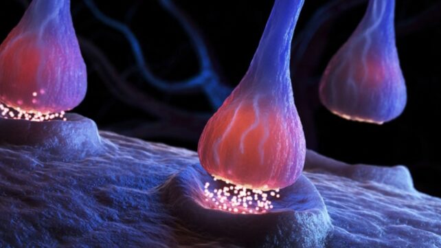 Common Antidepressants May Have Another Surprising Effect on Your Brain