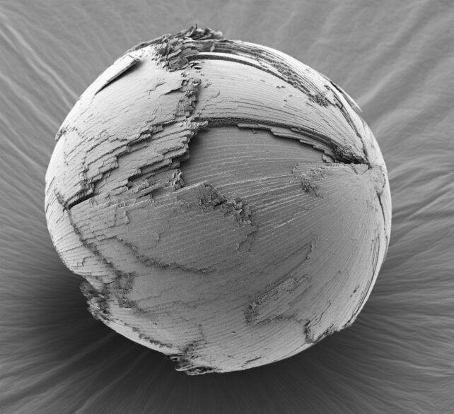 Microscope Mystery Lens