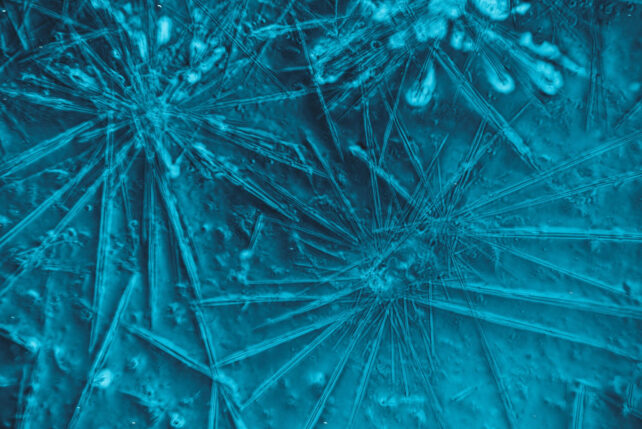 Microscope Mystery Caffeine