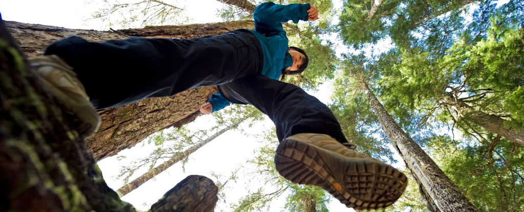 Supercharge Your Daily Walk With These 5 Simple Changes image