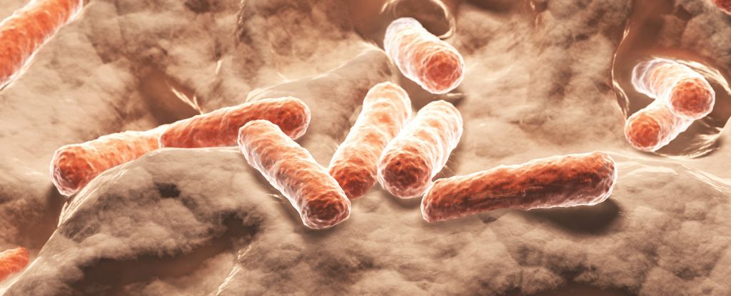 Scientists May Have Found a Natural Alternative to Ozempic