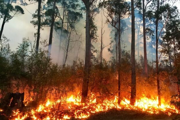 Two Major Studies Agree Earth Is Entering Frightening New Climate Phase ...