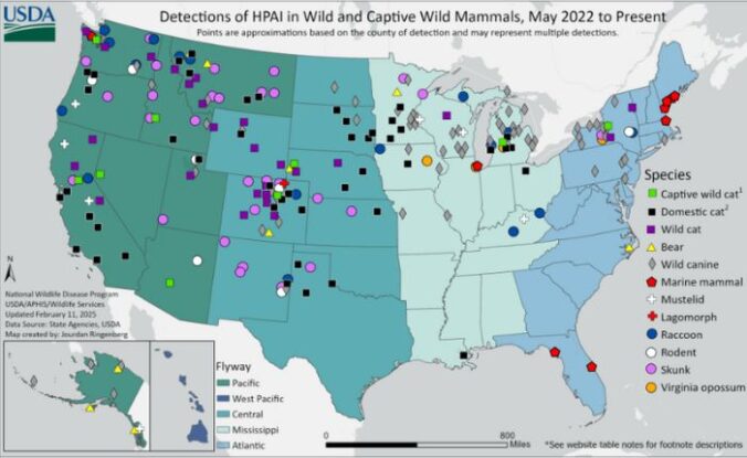 CDC Report Suggests Bird Flu Is Spreading Undetected to Humans ...