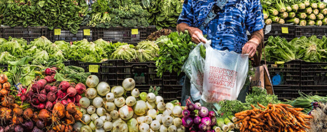 person shopping for fruits and vegetables at a farmers market